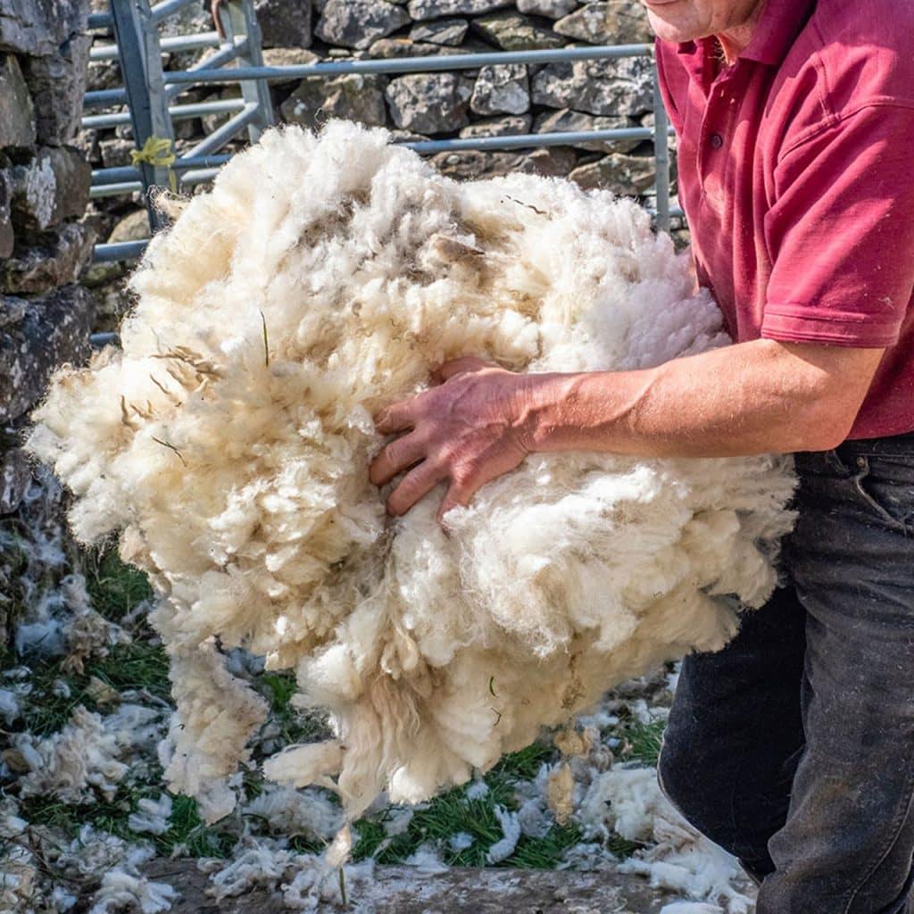 Isolation en laine de mouton